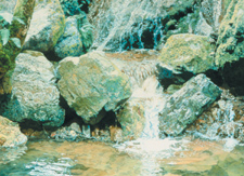 A painting