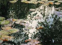 A painting