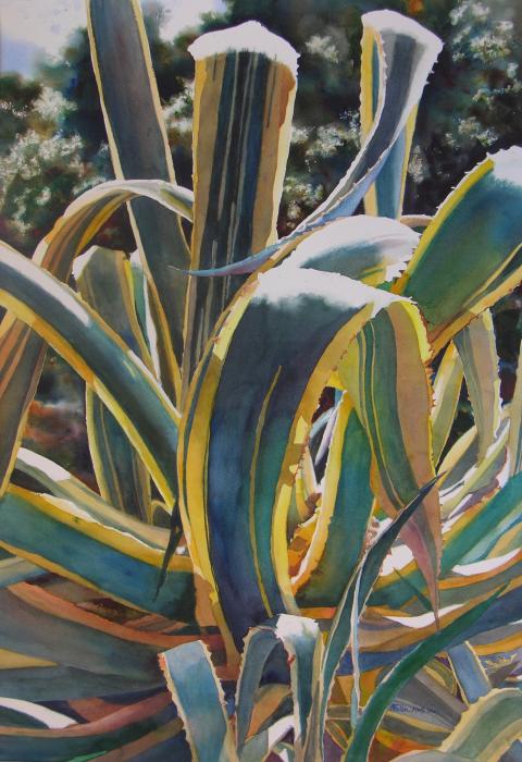 Anne Fallin, Agave Display, Jade Fon Memorial Award 50th National Exhibition