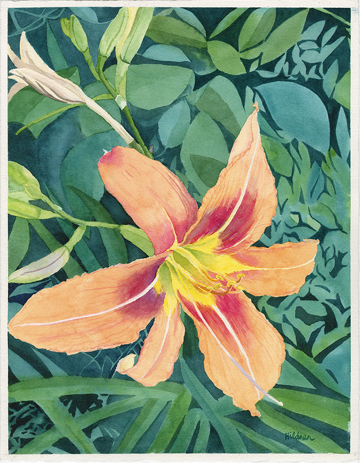 Kelly-Hildner-OrangeDaylily Dongfeng Li
