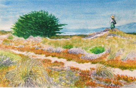 Bodega Dunes Reverie 1 Bodega Dunes Reverie