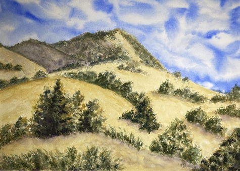 Diablo Foothills 1 Diablo Foothills