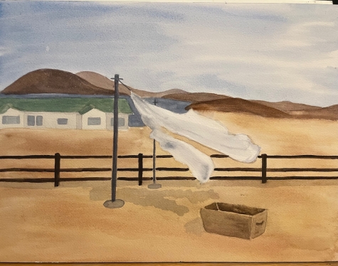 Mesmerized By My Laundry 1 Mesmerized By My Laundry