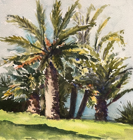 Palms 1 Palms