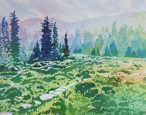 Steps Across the Meadow 1 Steps Across the Meadow