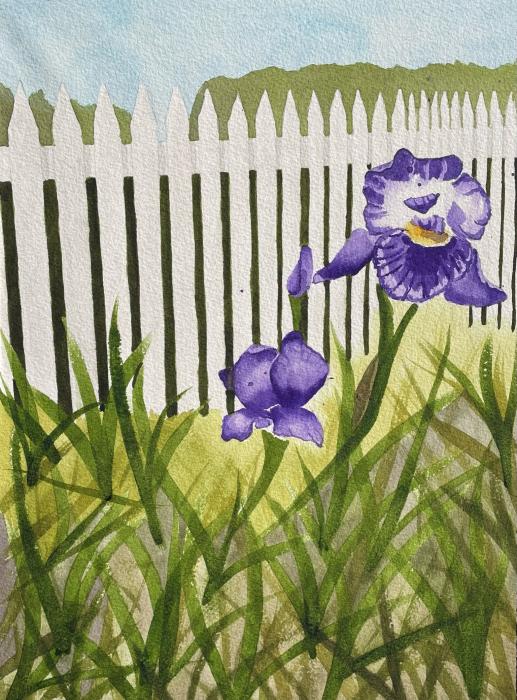 Marion Leggett, Purple Iris 1