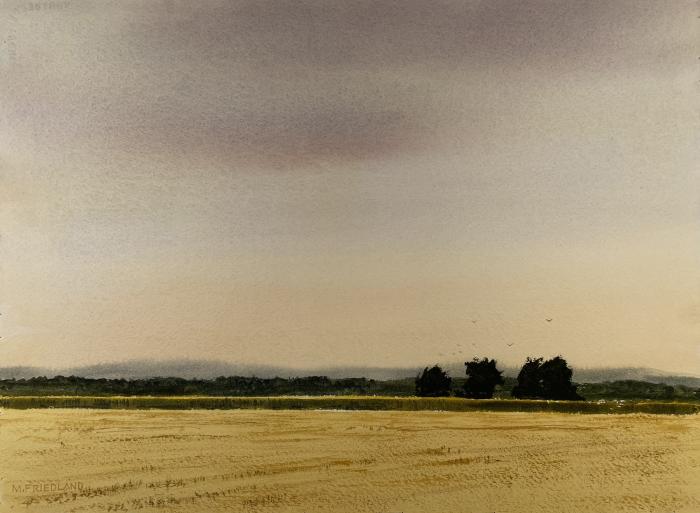 Michael Friedland, Central Valley Afternoon