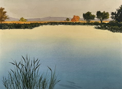 MacInnis Pond Stillness