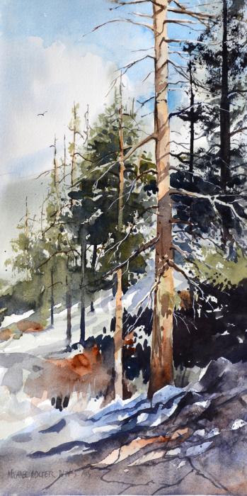 Michael Holter, Tahoe Pines, Salis International Award 50th National Exhibition
