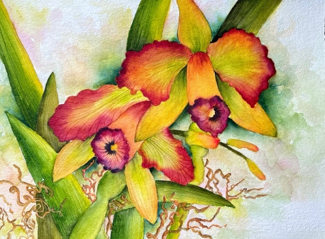 Seriously Orchids 1 Seriously Orchids