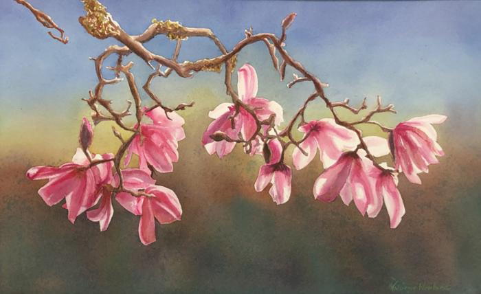 Yvonne Newhouse, Filoli Magnolias