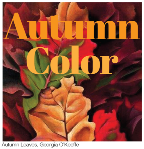 2021 Autumn Color Show - Awards