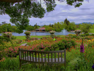 Plein Air - Heather Farm Park