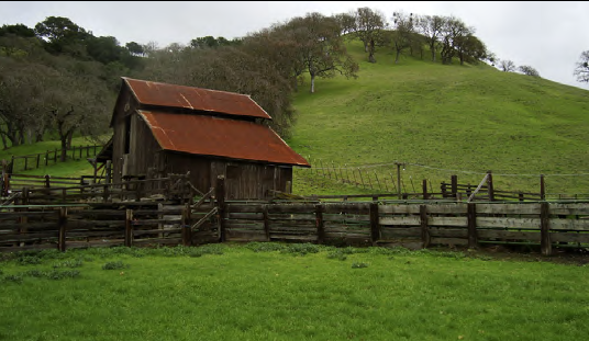 Plein Air - Old Borges Ranch, Walnut Creek