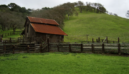 2022 April Plein Air - Old Borges Ranch, Walnut Creek